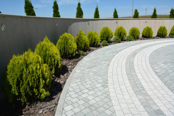 Best Driveway Repair Near Me  in Senath, MO